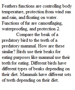 Animal Adaptations